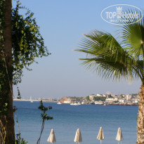 фото из отзыва ID 1080514