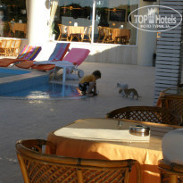 фото из отзыва ID 1080514