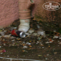 фото из отзыва ID 1080529