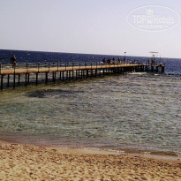 фото из отзыва ID 1080697