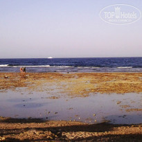 фото из отзыва ID 1080697