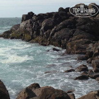 фото из отзыва ID 1080830