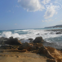 фото из отзыва ID 1080941