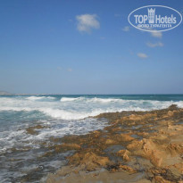 фото из отзыва ID 1080941