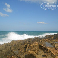 фото из отзыва ID 1080941