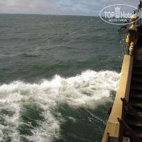 фото из отзыва ID 1080942