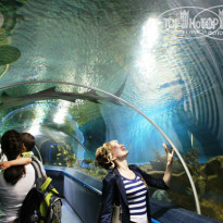 фото из отзыва ID 1081004