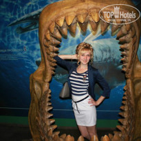 фото из отзыва ID 1081004