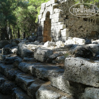 фото из отзыва ID 1080944