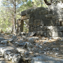 фото из отзыва ID 1080944