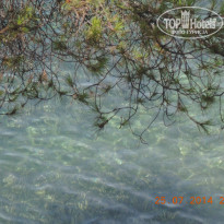 фото из отзыва ID 1081184