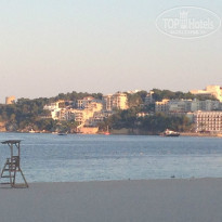 фото из отзыва ID 1081184