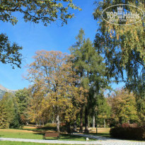 фото из отзыва ID 1081218