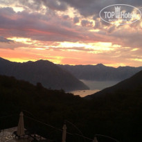 фото из отзыва ID 1081312