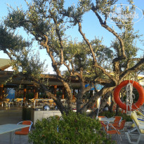 фото из отзыва ID 1081402