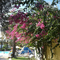 фото из отзыва ID 1081402