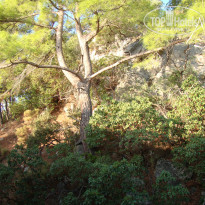 фото из отзыва ID 1081494