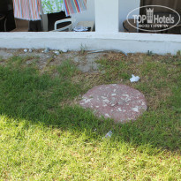 фото из отзыва ID 1081503