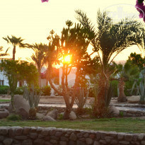 фото из отзыва ID 1081551