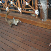 фото из отзыва ID 1081594