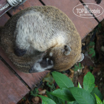 фото из отзыва ID 1081594