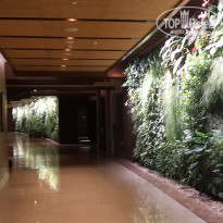 фото из отзыва ID 1081709