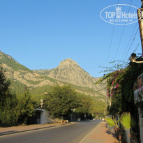 фото из отзыва ID 1081754