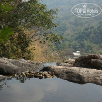 фото из отзыва ID 1081769