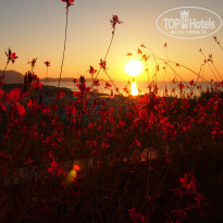 фото из отзыва ID 1081785