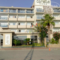 фото из отзыва ID 1082131