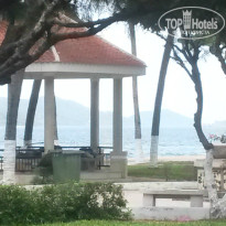 фото из отзыва ID 1082000