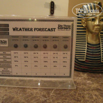 фото из отзыва ID 1082393