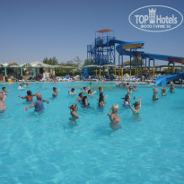 фото из отзыва ID 1082820