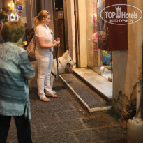 фото из отзыва ID 1082836