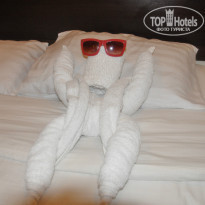 фото из отзыва ID 1082361