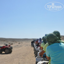 фото из отзыва ID 1082361