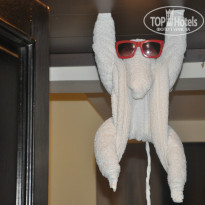 фото из отзыва ID 1082361