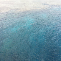 фото из отзыва ID 1083050