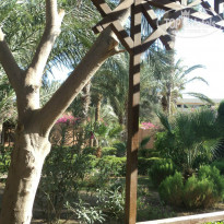 фото из отзыва ID 1083231