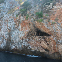 фото из отзыва ID 1083303