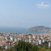 фото из отзыва ID 1083303