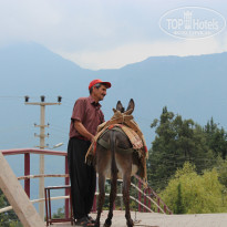 фото из отзыва ID 1083303