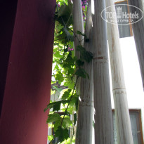 фото из отзыва ID 1083318