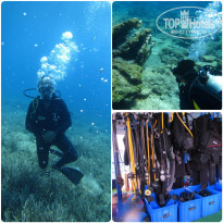 фото из отзыва ID 1083318