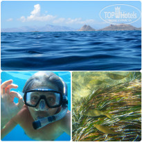 фото из отзыва ID 1083318