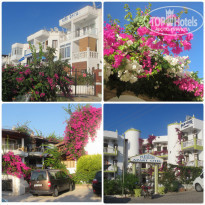 фото из отзыва ID 1083318