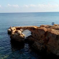 фото из отзыва ID 1083690