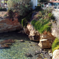 фото из отзыва ID 1083690