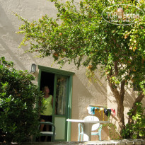 фото из отзыва ID 1083690