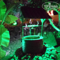 фото из отзыва ID 1083860